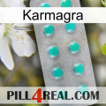 Karmagra 28